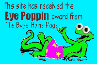 Eye Poppin Award